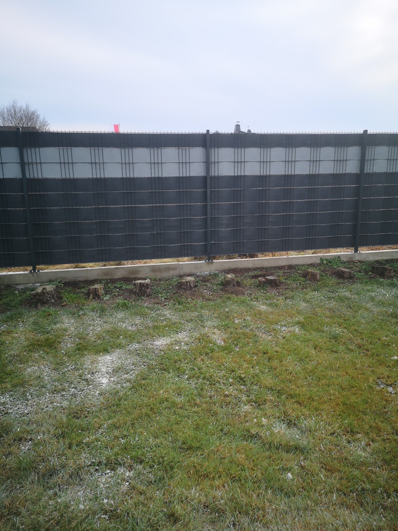 Nowoczesne, panelowe ogrodzenie w kolorze grafitowym z poziomymi przerwami, widoczne pniaki po wycince drzew, trawa z lekkim oszronieniem.