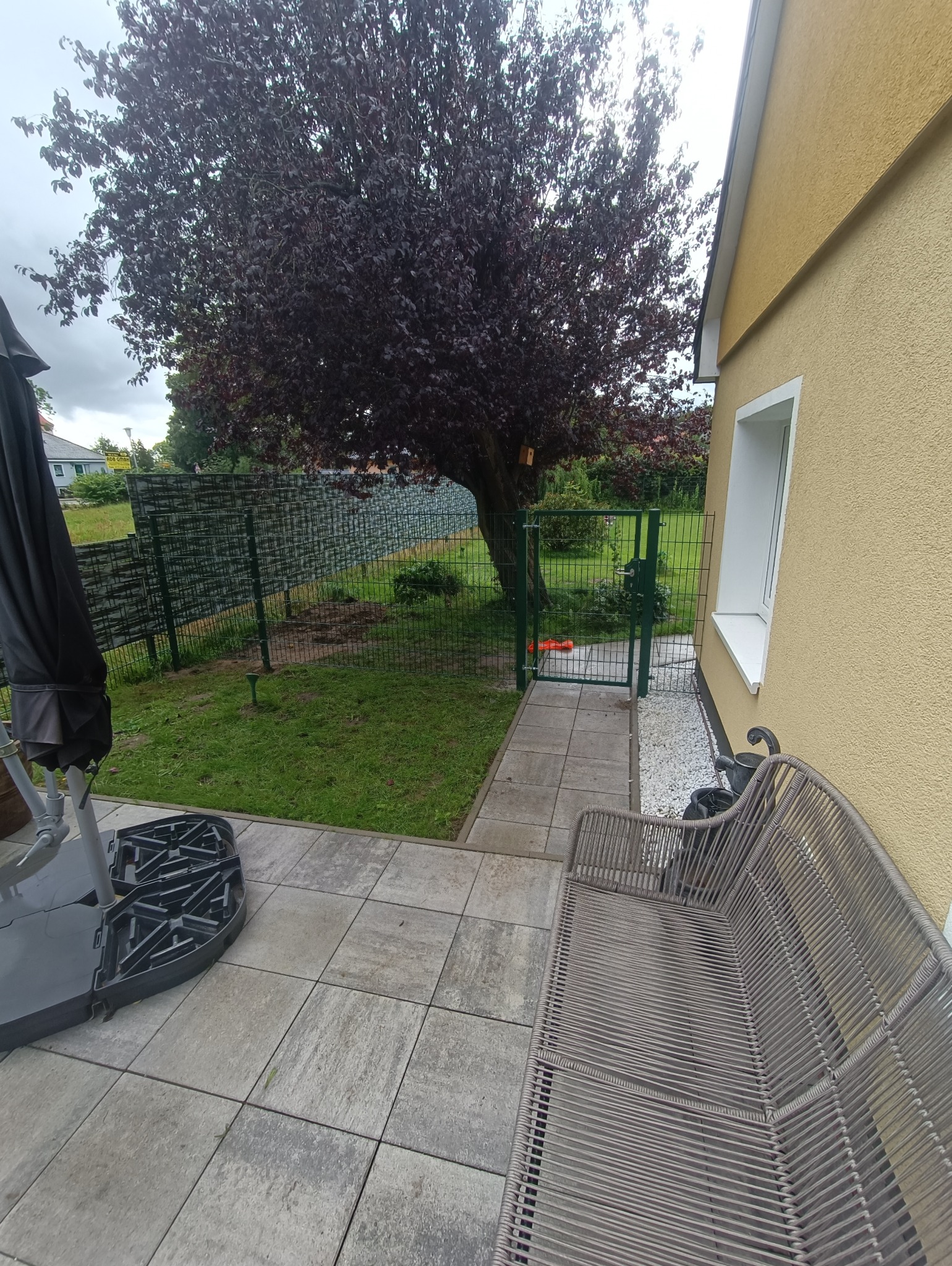 Zielona furtka w ogrodzeniu panelowym, widok z tarasu z meblami ogrodowymi. W tle drzewo o purpurowych liściach i fragment domu z oknem.