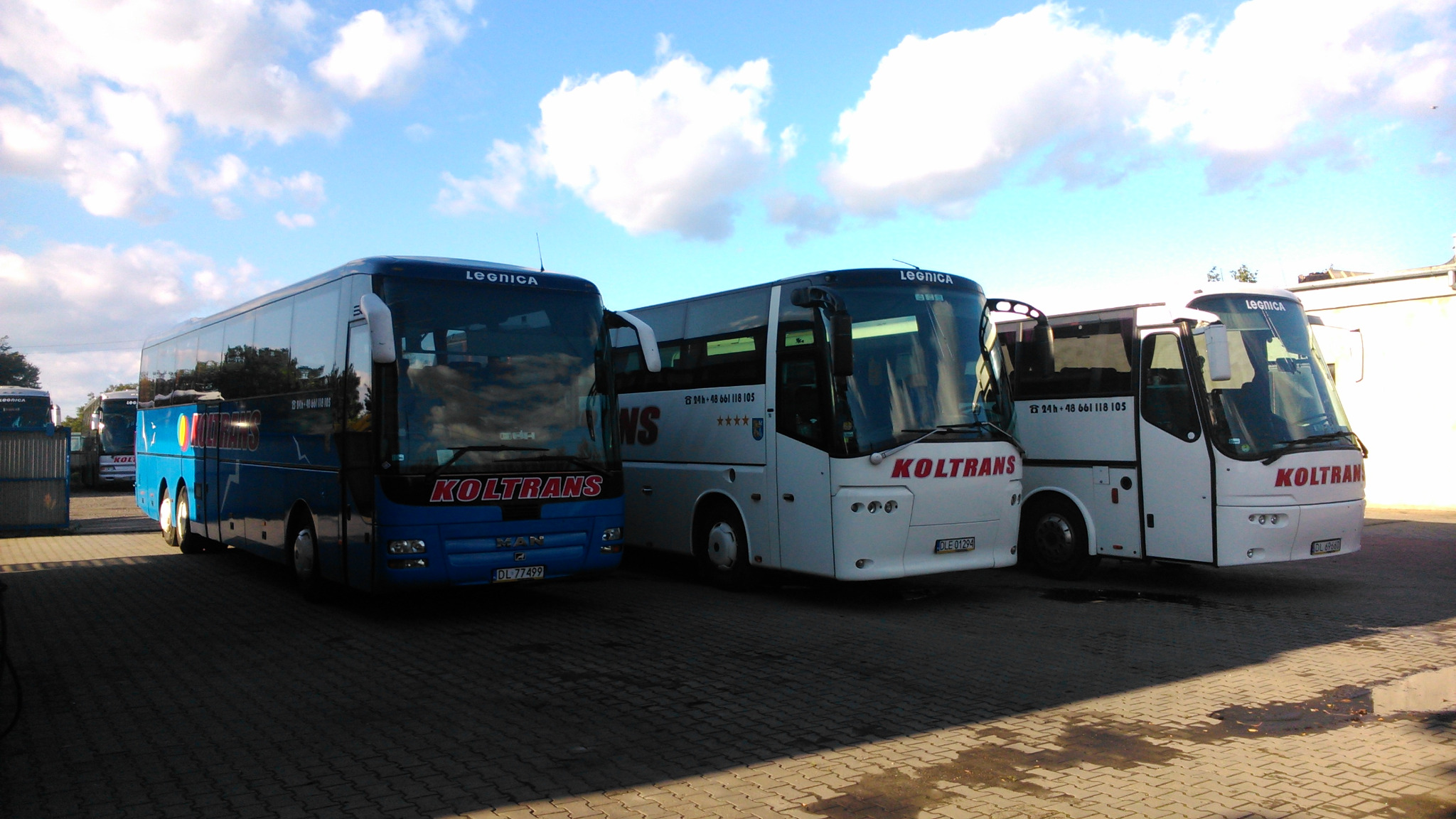 Trzy autokary firmy Koltrans Legnica zaparkowane obok siebie na brukowanym placu, jeden w kolorze niebieskim, dwa białe, na tle błękitnego nieba z białymi chmurami.