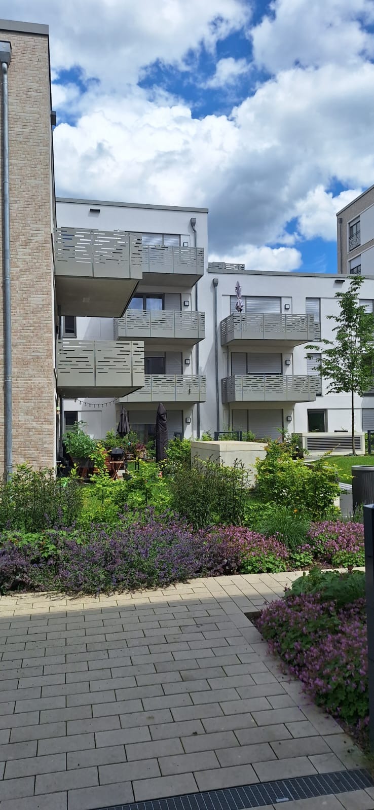 Nowoczesne balkony z ażurowymi osłonami w bloku mieszkalnym, widok z poziomu chodnika w otoczeniu zieleni.