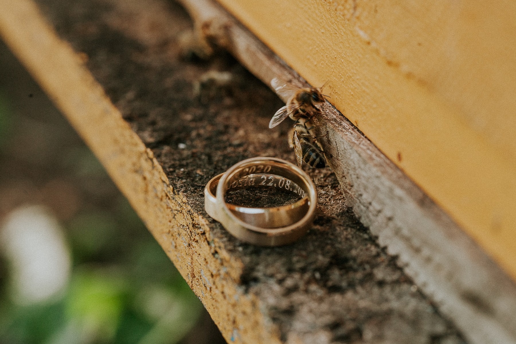 Dwa złote obrączki z wygrawerowaną datą 22.08.2020 leżą na szorstkiej, drewnianej powierzchni obok pszczoły, która siedzi na krawędzi ula.