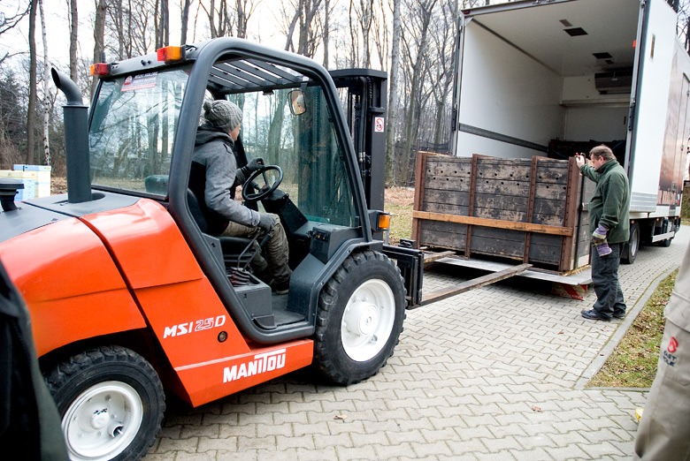 Rozłaunek tygrysa w Krakowskim ZOO