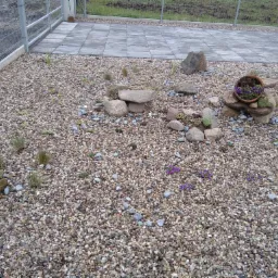 Ogród z kamienistym podłożem, z nasadzeniami roślin i kompozycjami z kamieni, w tle widoczny płot z siatki.