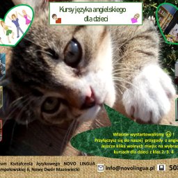 Nauczyciele angielskiego Nowy Dwór Mazowiecki 3