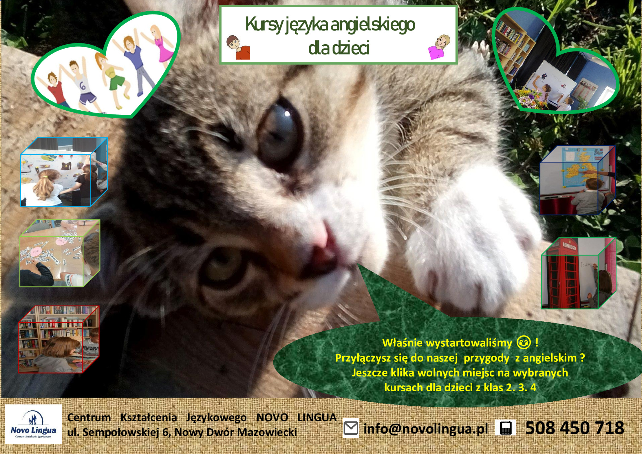Kreatywna reklama kursów języka angielskiego dla dzieci z dużym zdjęciem kota w centrum, otoczona ikonami i zdjęciami z zajęć, informacją o wolnych miejscach i danymi kontaktowymi szkoły językowej...