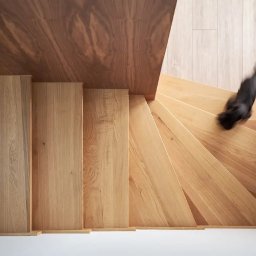 OPTIMUM kompleksowe wykończenia wnętrz - Widok z góry na drewniane schody w jasnym odcieniu z rozmytą sylwetką czarnego kota w ruchu, biała podłoga i drewniana ściana.