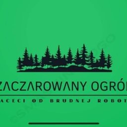 Usługi ogrodnicze - Trawa w Rolce Toruń