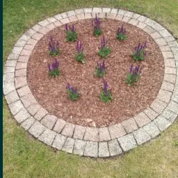 Okrągła rabata z obrzeżem z kostki, wypełniona korą i zasadzona fioletowymi kwiatami na trawniku.