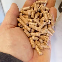 Otwarta dłoń trzymająca garść jasnych, cylindrycznych brykietów z widocznymi włóknami drewna na tle jasnej ściany.