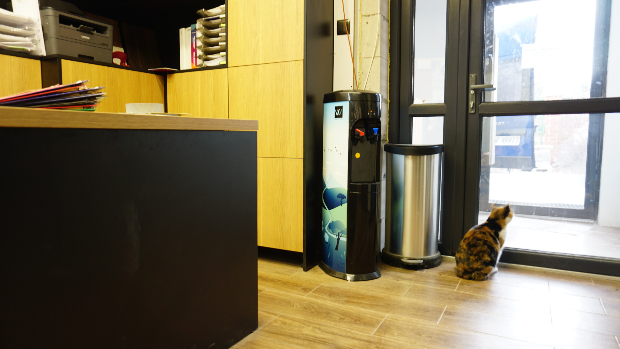Wnętrze biura z dystrybutorem wody z grafiką, koszem na śmieci i siedzącym kotem patrzącym przez szklane drzwi na zewnątrz.