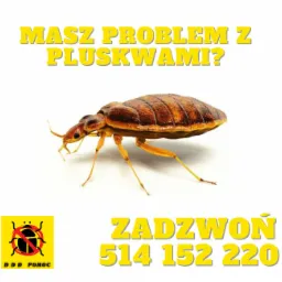 Grafika reklamowa: Powiększony wizerunek pluskwy na białym tle, z tekstem 'Masz problem z pluskwami?' na górze, logo DDD Pomoc w lewym dolnym rogu i numer telefonu 'Zadzwoń 514 152 220' w prawym...