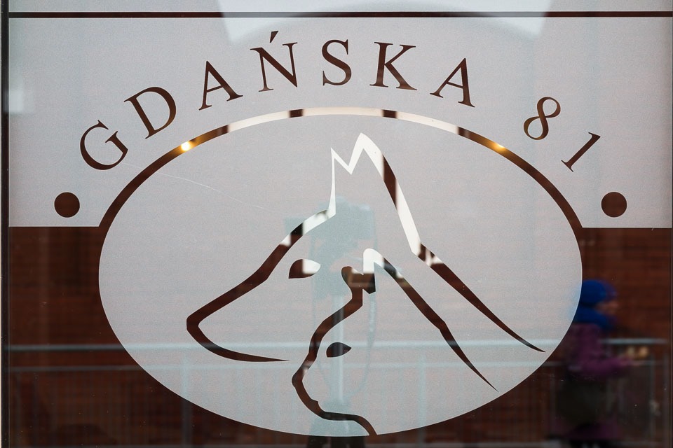 Logo z nazwą 'Gdańska 81' i stylizowanym wizerunkiem psa i kota na matowej szybie z widocznymi refleksami otoczenia.