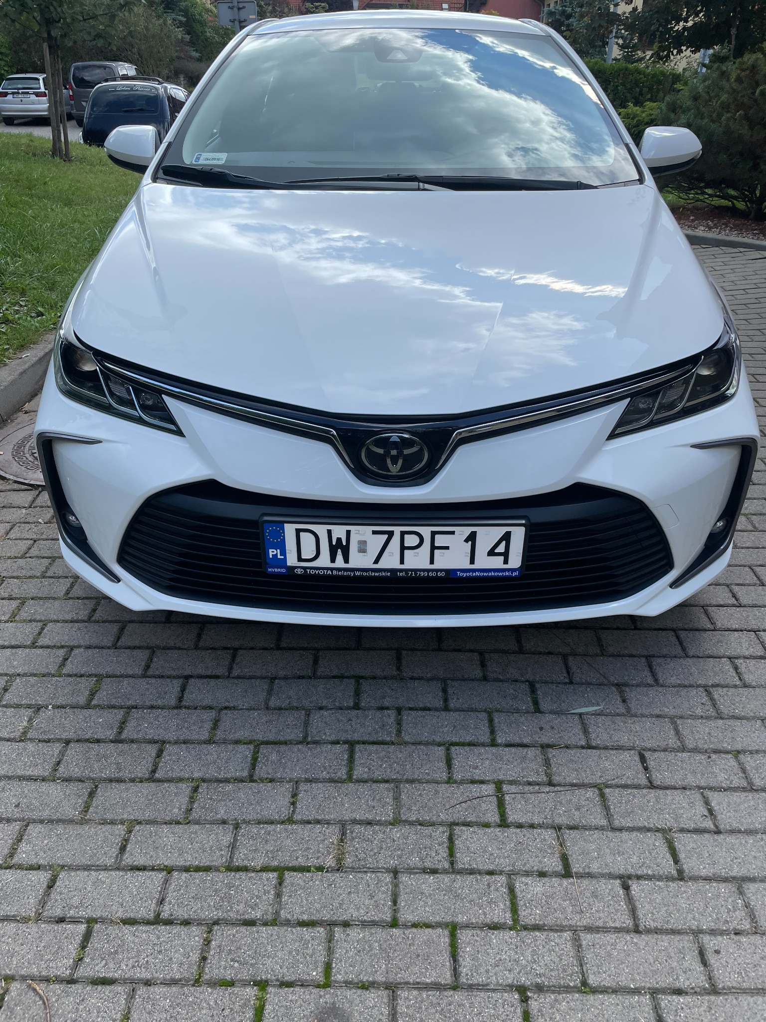 Przód białej Toyoty Corolli z widoczną tablicą rejestracyjną DW 7PF14 na tle brukowanej nawierzchni i zieleni.