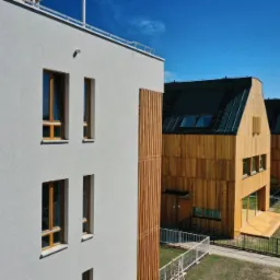 Elewacja modrzew syberyjski