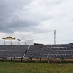 Dwa rzędy paneli słonecznych na metalowych stelażach, z białymi belami słomy w tle i pochmurnym niebem.
