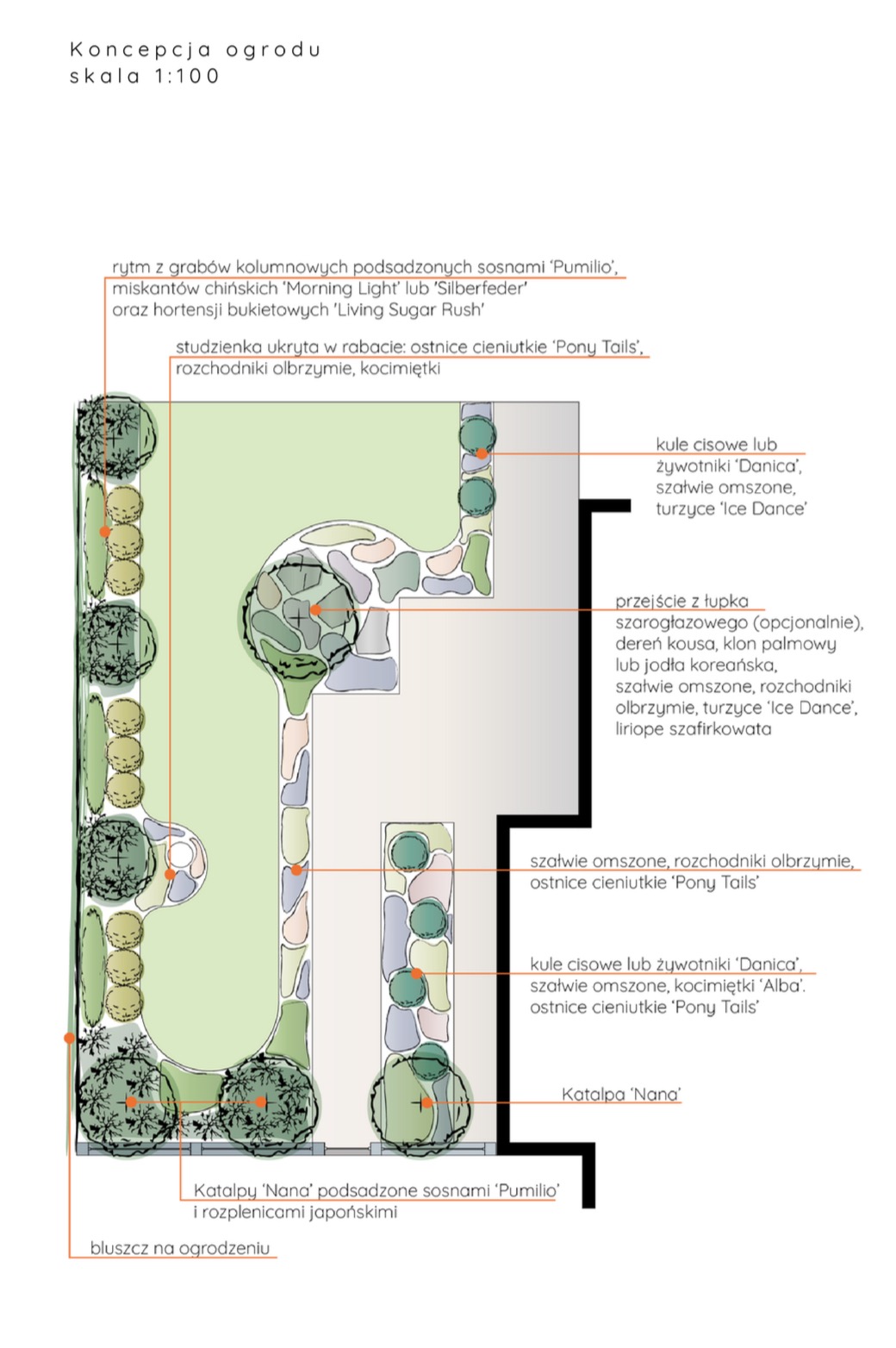 Plan ogrodu w skali 1:100, z zaznaczonymi rabatami, ścieżkami z łupka, kulami cisowymi Danica, szałwią omszoną, turzycami Ice Dance oraz katalpami Nana podsadzonymi sosnami Pumilio i rozplenicami...