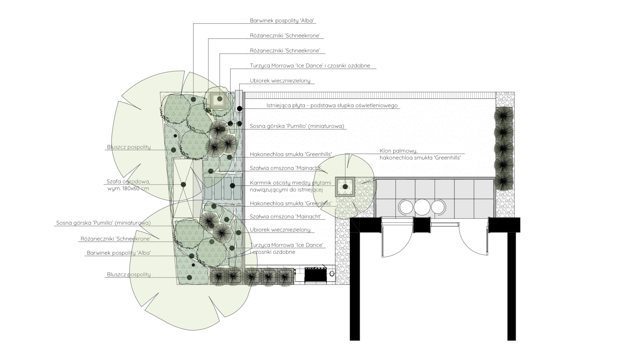 Rzut z góry na projekt ogrodu z zaznaczonymi roślinami: barwinek pospolity 'Alba', różaneczniki 'Schneekrone', turzyca Morrowa 'Ice Dance', ubiorek wieczniezielony, bluszcz pospolity, sosna górska...