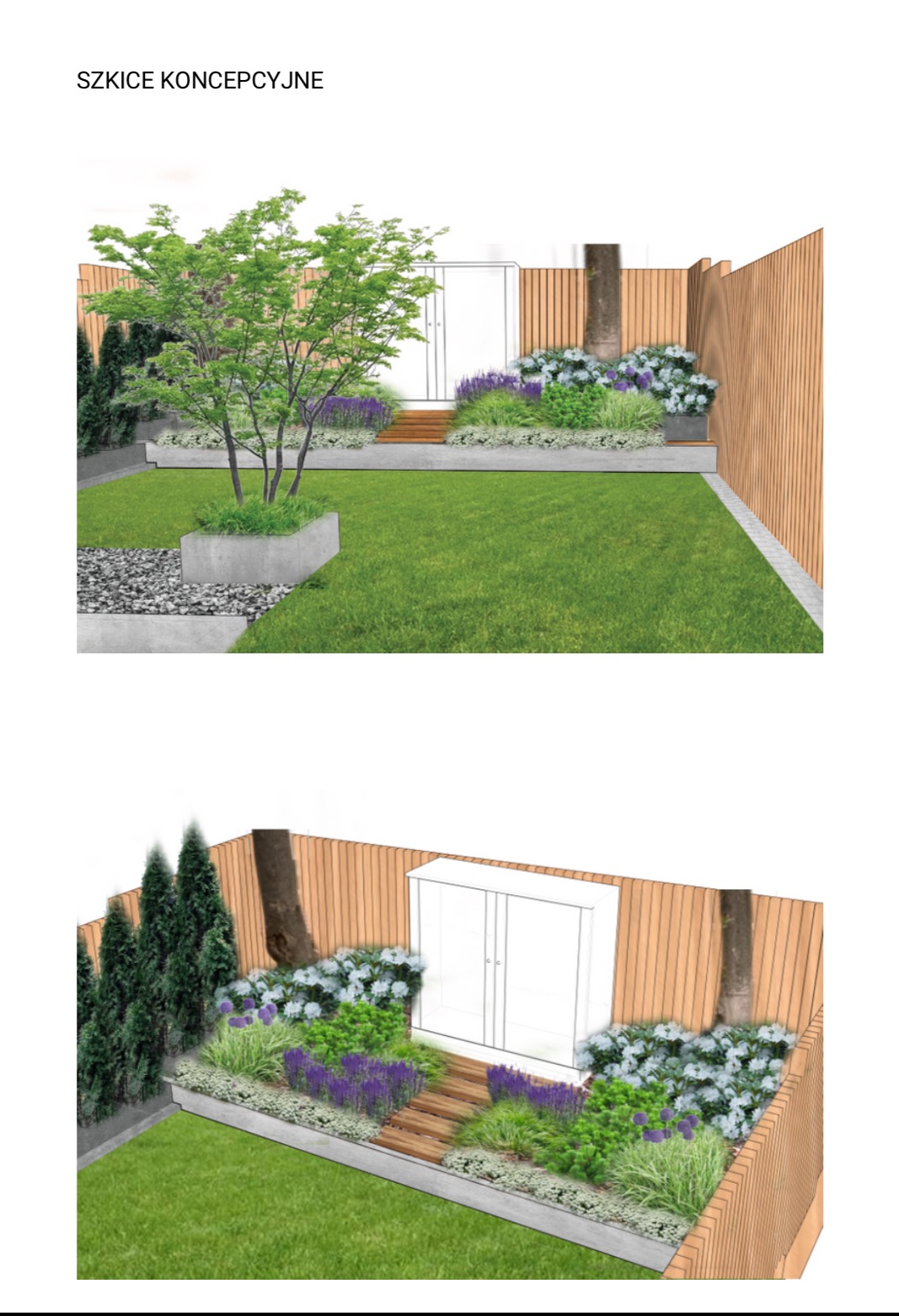 Szkic koncepcyjny ogrodu z trawnikiem, drewnianym ogrodzeniem, rabatami kwiatowymi z hortensjami i lawendą, oraz drzewem w betonowej donicy.