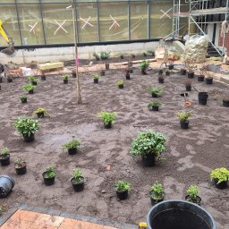 MUCHA NIE SIADA - USŁUGI OGRODNICZE ALICJA MUCHA - Przygotowanie terenu pod nasadzenia w Szczecinie. Mini koparka, pracownik i rozstawione rośliny w doniczkach na przygotowanym gruncie. Etap prac.