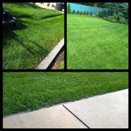 MUCHA NIE SIADA - USŁUGI OGRODNICZE ALICJA MUCHA - Systemy nawadniania Szczecin