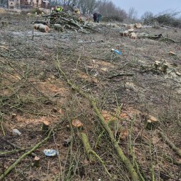 Pielęgnacja ogrodów Szczecin 1