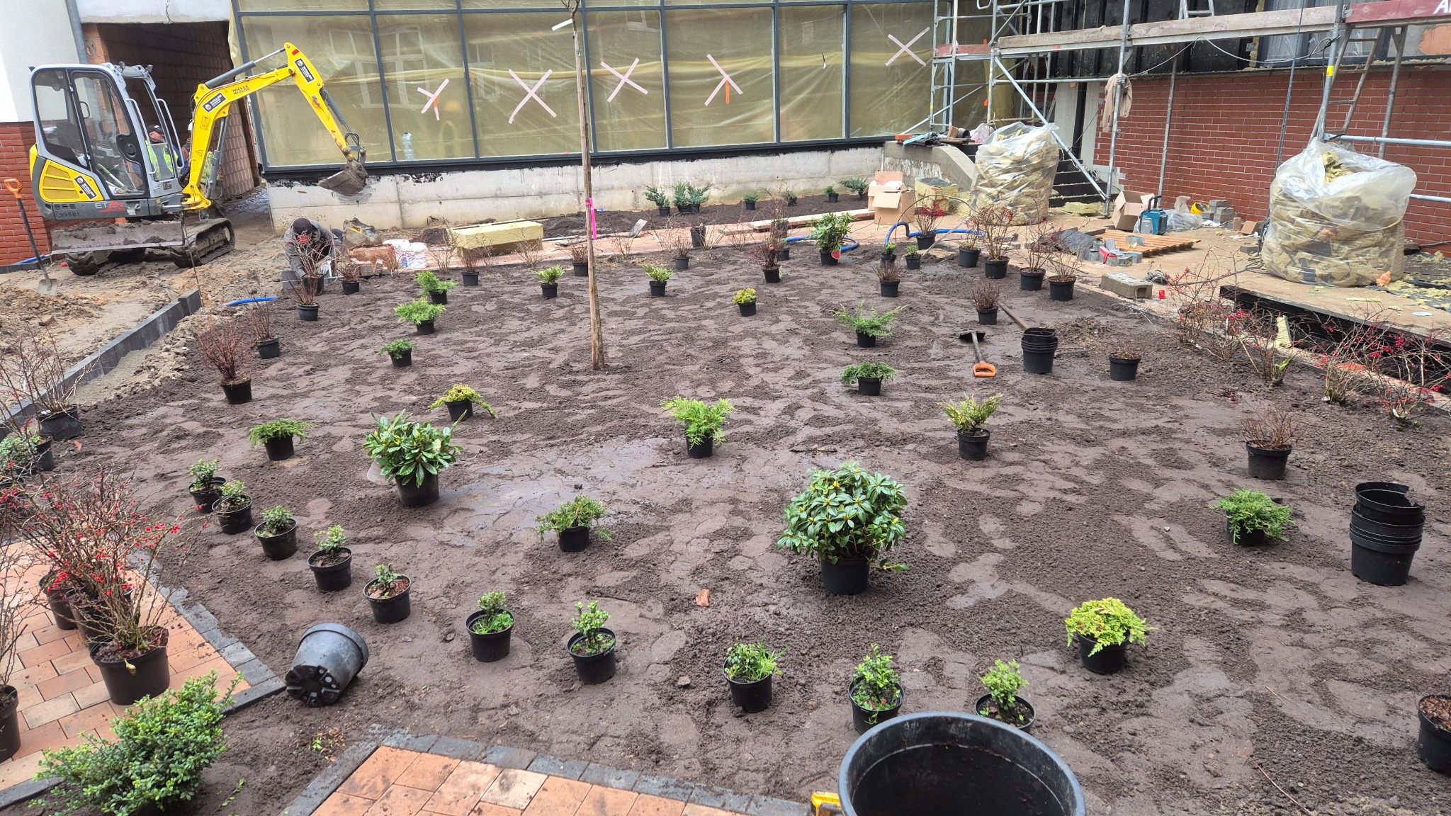 Przygotowanie terenu pod nasadzenia w Szczecinie. Mini koparka, pracownik i rozstawione rośliny w doniczkach na przygotowanym gruncie. Etap prac.