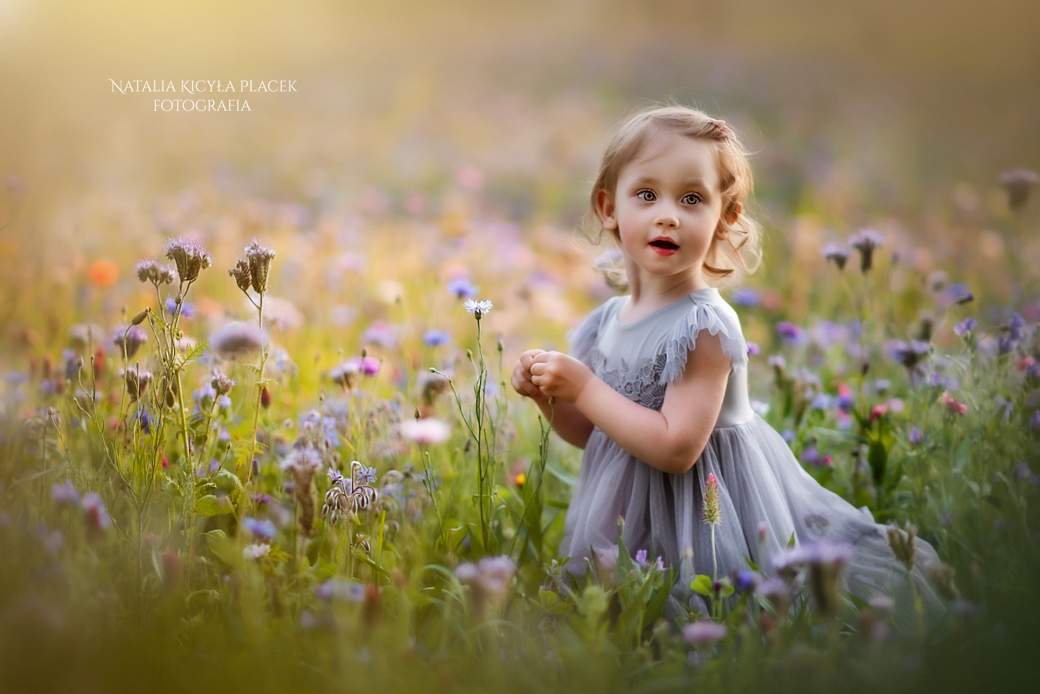 Dziewczynka w szarej sukience stoi na łące pełnej kolorowych kwiatów, trzymając w rękach mały kwiatek, z delikatnym uśmiechem na twarzy i zachwytem w oczach.