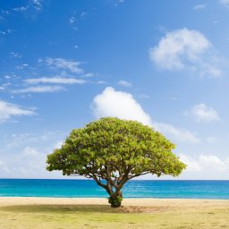 J UP GROUP - Nadz&oacute;r Budowlany Warszawa