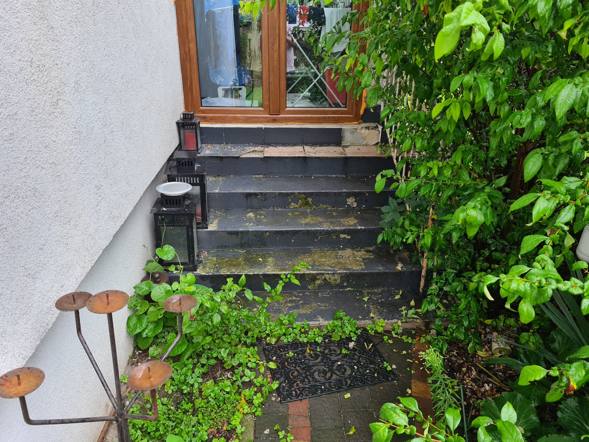 Zewnętrzne schody z czarnych płytek prowadzące do drzwi wejściowych, z widocznymi uszkodzeniami i porostem mchu, otoczone roślinnością i dekoracyjnymi lampionami.