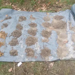 Próbki ziemi z wiercenia, ułożone na szarej folii w otoczeniu trawy i liści, prezentujące różne warstwy geologiczne.