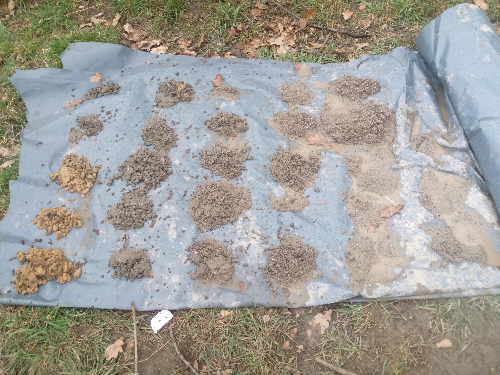 Próbki ziemi z wiercenia, ułożone na szarej folii w otoczeniu trawy i liści, prezentujące różne warstwy geologiczne.