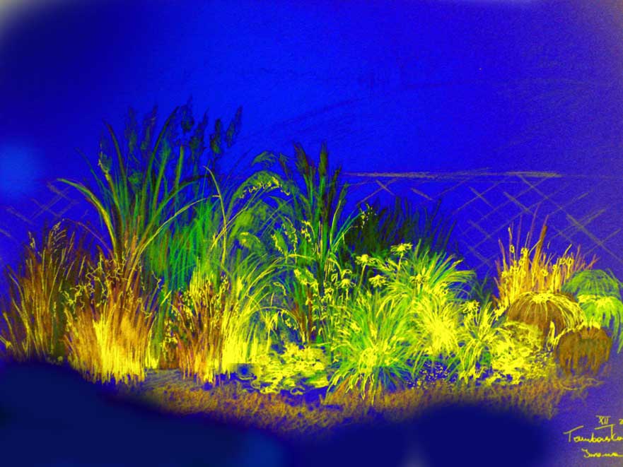 Ręcznie rysowany, pastelowy szkic ogrodu z różnorodną roślinnością, w tym trawami ozdobnymi i kwiatami, na ciemnoniebieskim tle, przypominający projekt koncepcyjny.