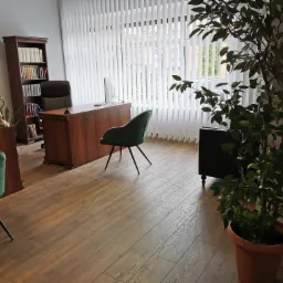 Wnętrze gabinetu z drewnianym biurkiem, krzesłem obitym zielonym welurem, regałem na książki i wysoką rośliną doniczkową przy oknie z żaluzjami.