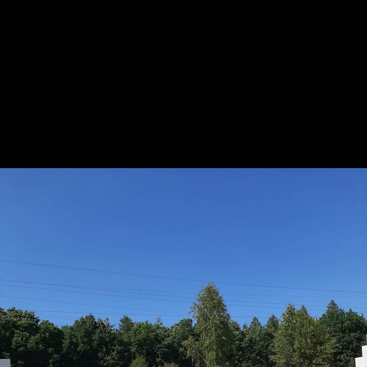 Widok na fragment budynku w budowie, z widoczną ścianą i elementami konstrukcyjnymi, na tle lasu i błękitnego nieba.