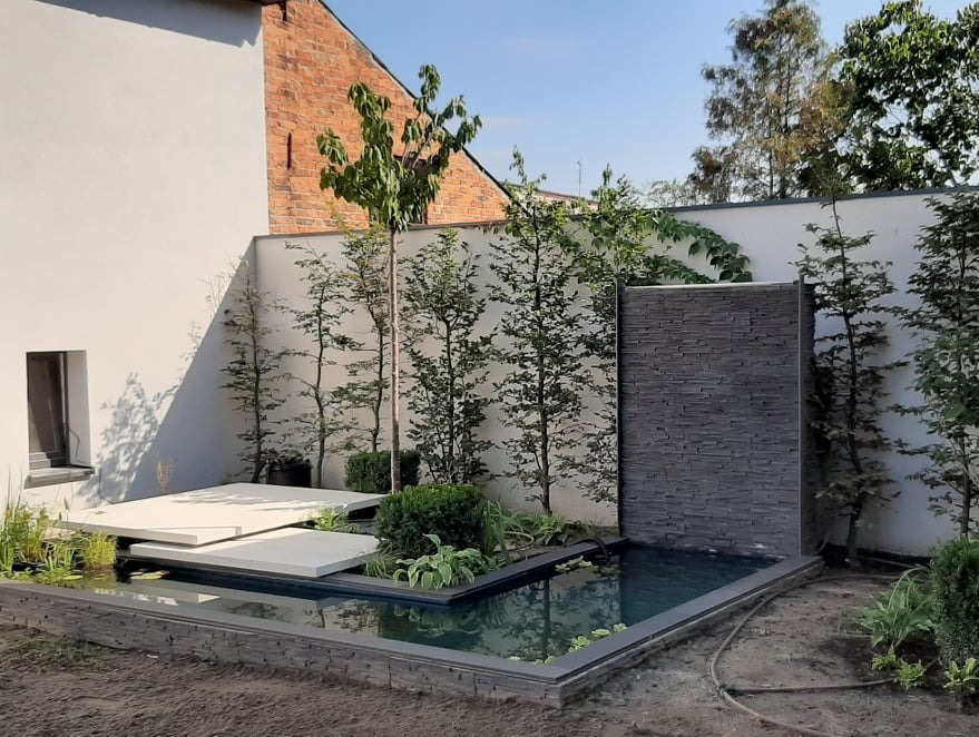 Nowoczesny ogród z minimalistycznym stawem, betonowymi płytami i ścianą z kamienia łupkowego, otoczony białymi ścianami i młodymi drzewami.