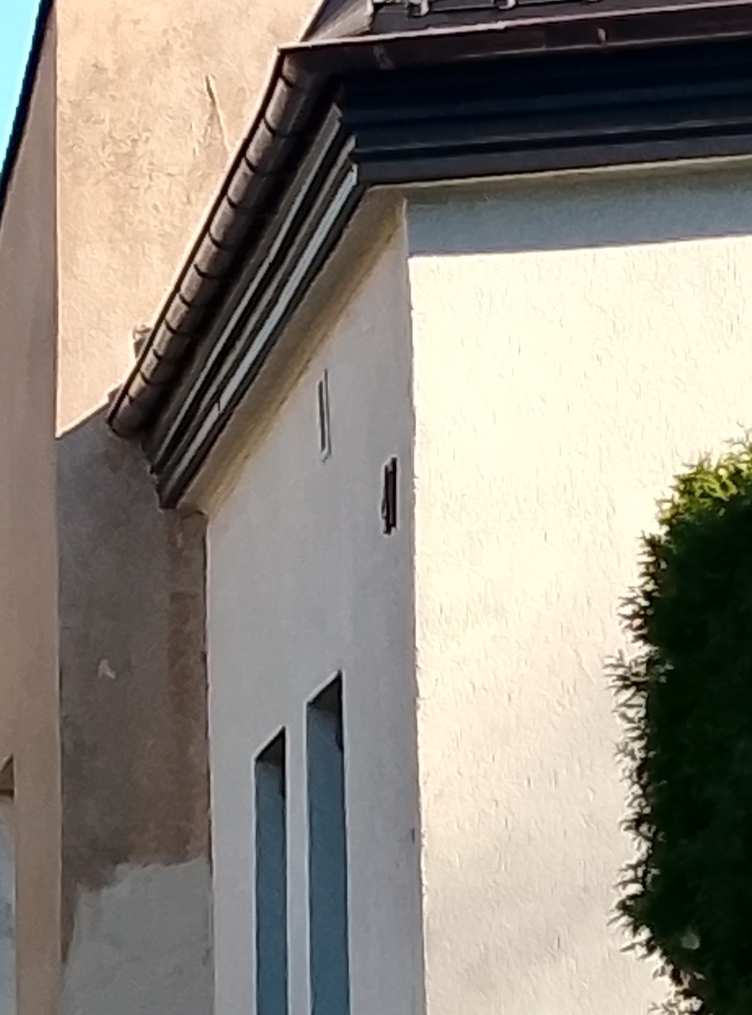 Fragment elewacji budynku z widocznymi oknami, rynną i fragmentem dachu oraz krzewem iglastym, ukazujący detale wykończenia i architekturę.