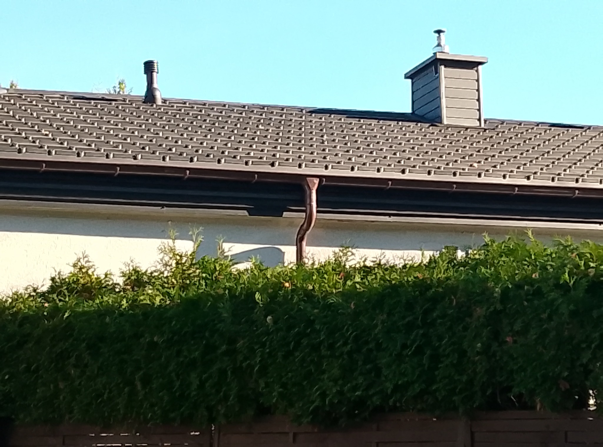 Brązowy dach z blachodachówki z dwoma kominami i rynną miedzianą, widoczny zza żywopłotu.