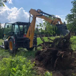 Żółta koparko-ładowarka usuwa karpę drzewa z ziemi w Bełchatowie, widoczne korzenie i świeżo wykopana ziemia w słoneczny dzień.