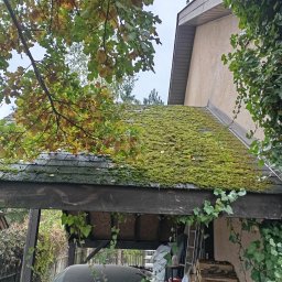 Daniel Dubis - Zarośnięty mchem dach z bitumicznej dachówki, widoczny z perspektywy z dołu, z fragmentem zadaszenia i samochodu. W tle ściana budynku i drzewa.