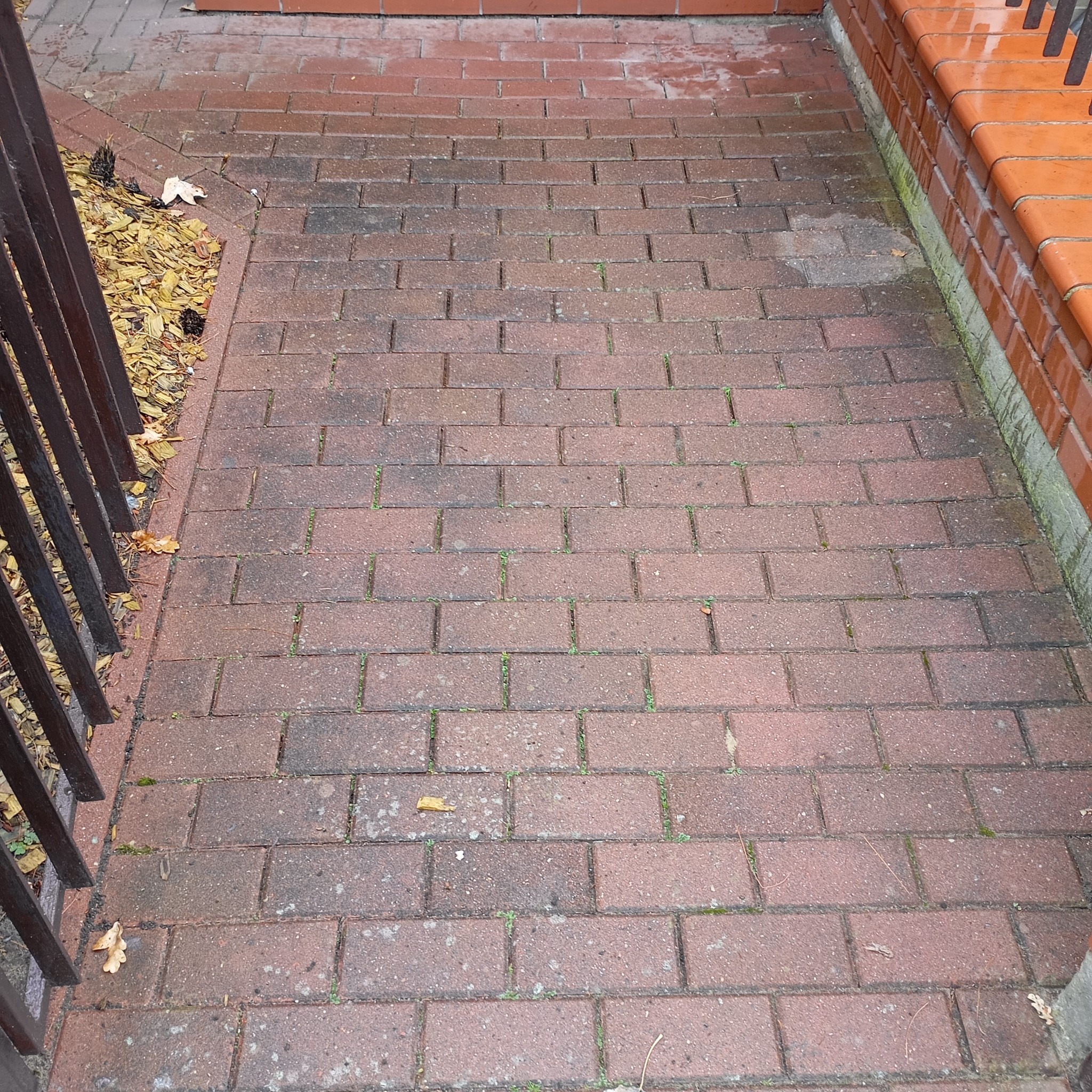 Ceglana kostka brukowa z mchem i liśćmi, widoczna część metalowego ogrodzenia po lewej. Niejednolity kolor kostki sugeruje potrzebę odświeżenia.