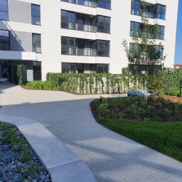 Montaż ogrodzeń Bogusza 1