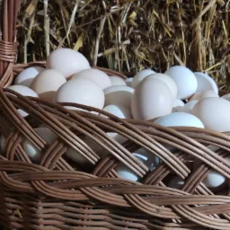 Kosz wiklinowy wypełniony białymi, surowymi produktami spożywczymi na tle siana.