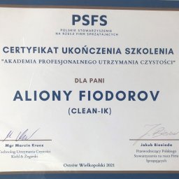 Sprzątanie mieszkań Poznań 1