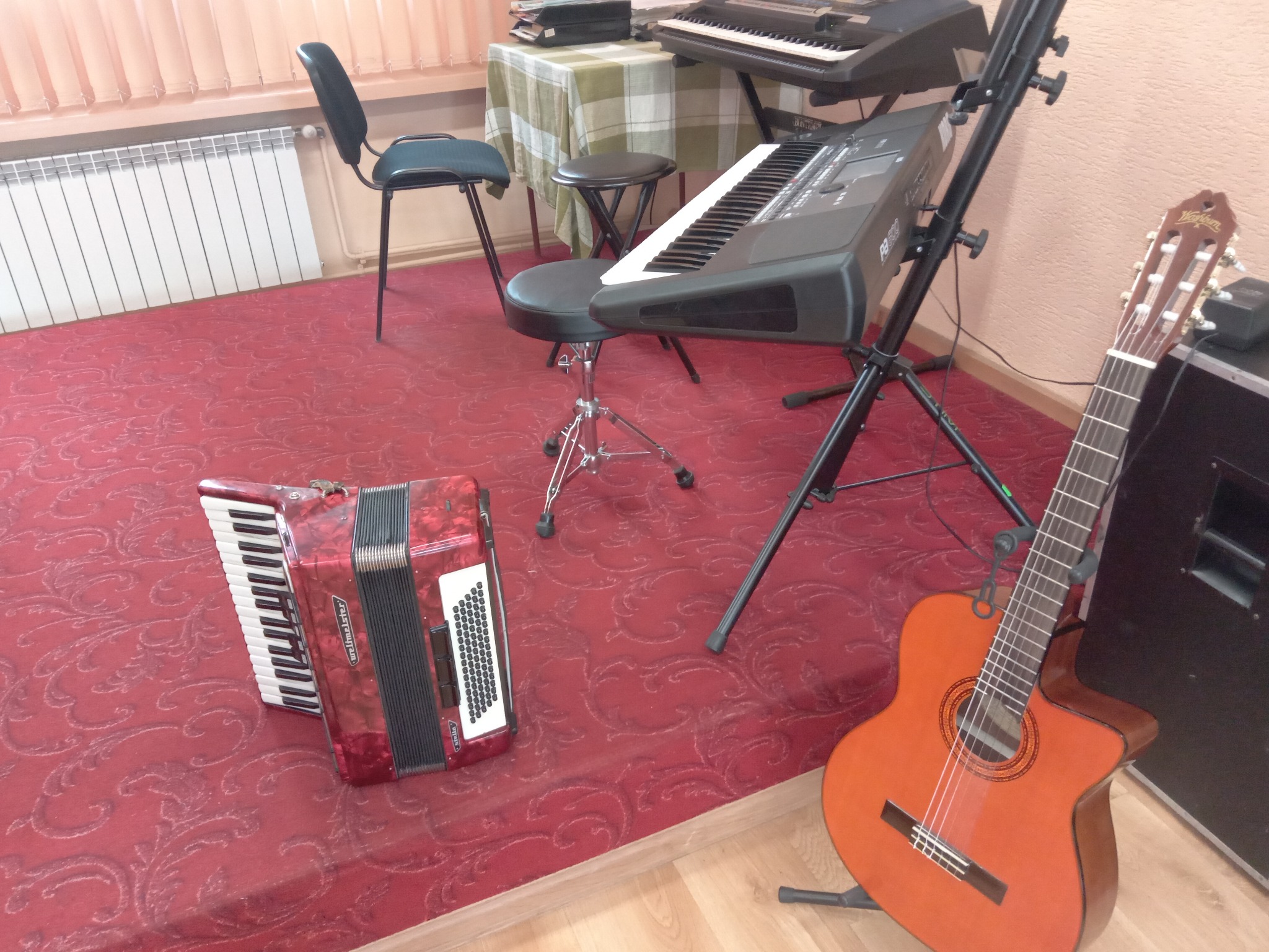 Instrumenty klawiszowe, gitara, akordeon...