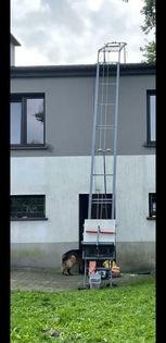 Wysoki podnośnik budowlany ustawiony przy dwukondygnacyjnym budynku z szarą górną i białą dolną częścią elewacji. Obok podnośnika leży pies rasy owczarek niemiecki długowłosy.