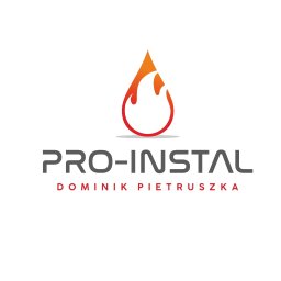 PRO-INSTAL Dominik Pietruszka - Usługi Wykończeniowe Nowy Sącz