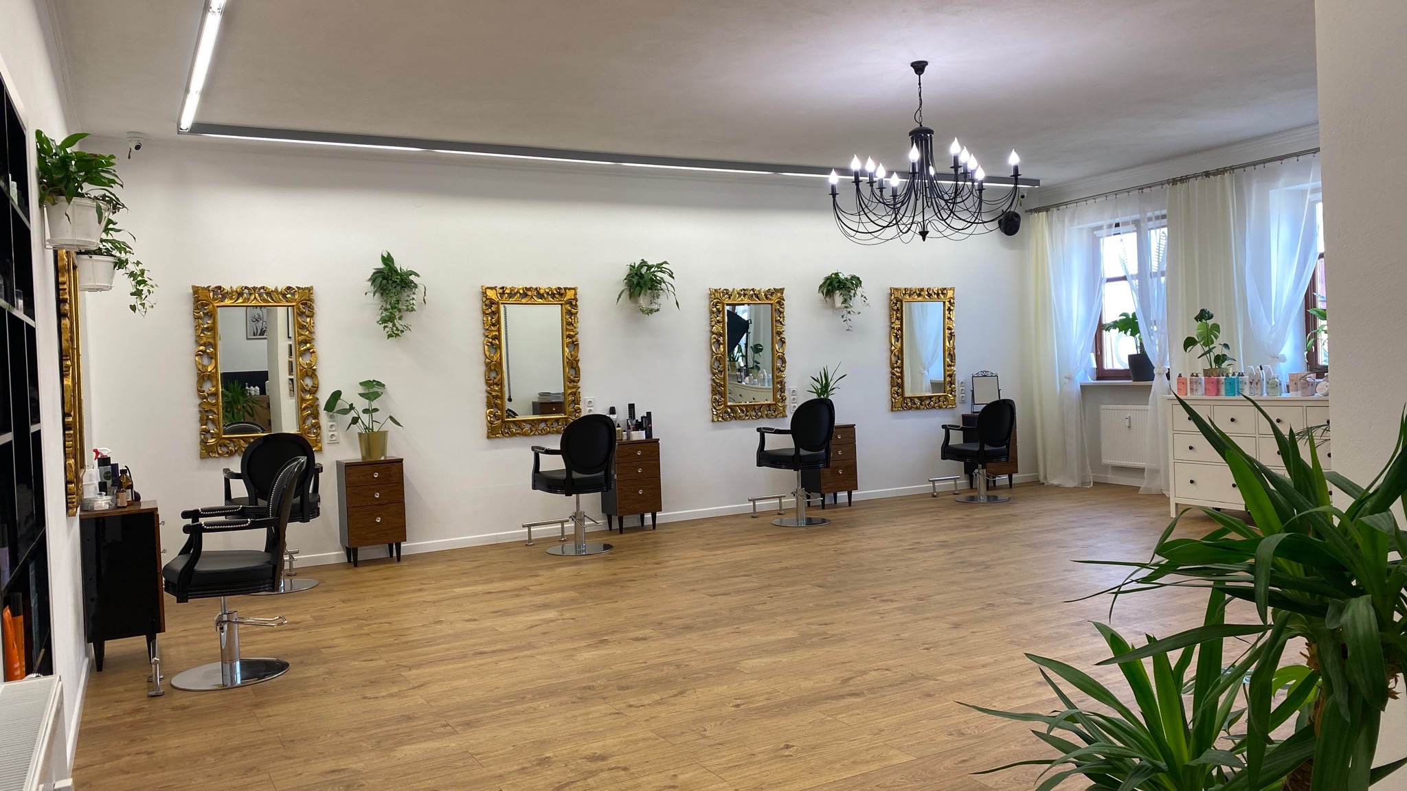 Jasne wnętrze salonu fryzjerskiego z drewnianą podłogą, czarnymi fotelami, toaletkami z lustrami w złotych ramach, roślinami doniczkowymi i żyrandolem.