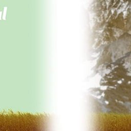 Grafik komputerowy Warszawa 2