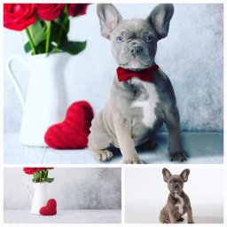 Grafik komputerowy Warszawa 4