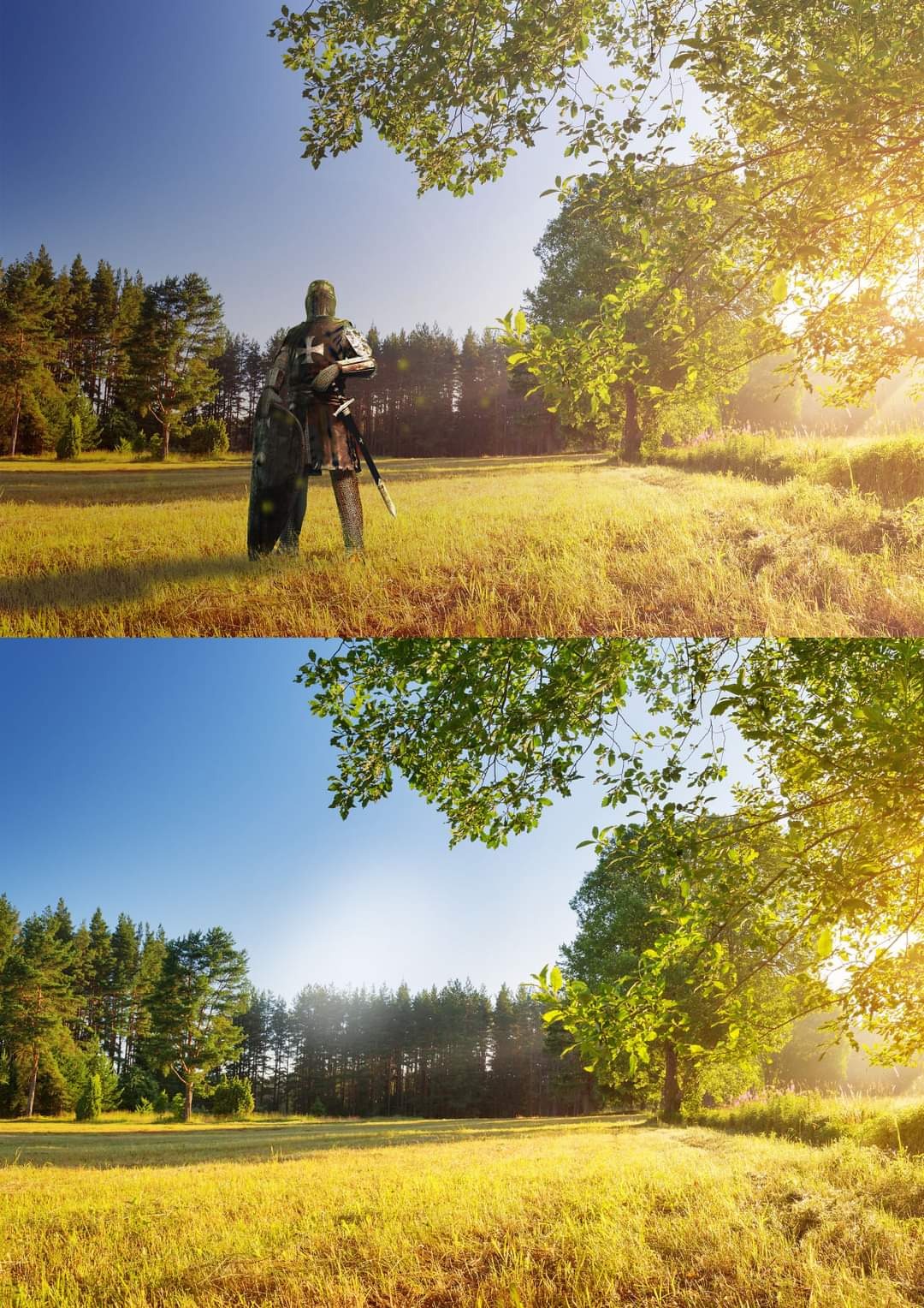 Rycerz w pełnej zbroi, z tarczą i mieczem, stoi na zalanym słońcem polu trawy, na tle lasu i drzew, w górnej części kadru widoczne gałęzie drzewa.